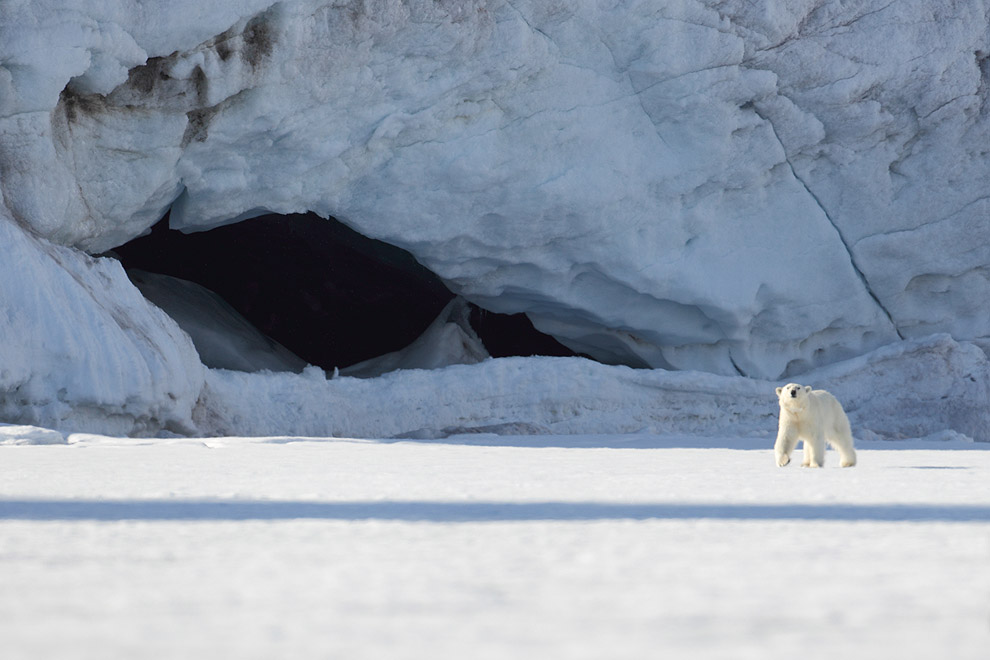 Photos d'ici et d'ailleurs ... enfin, surtout d'ailleurs