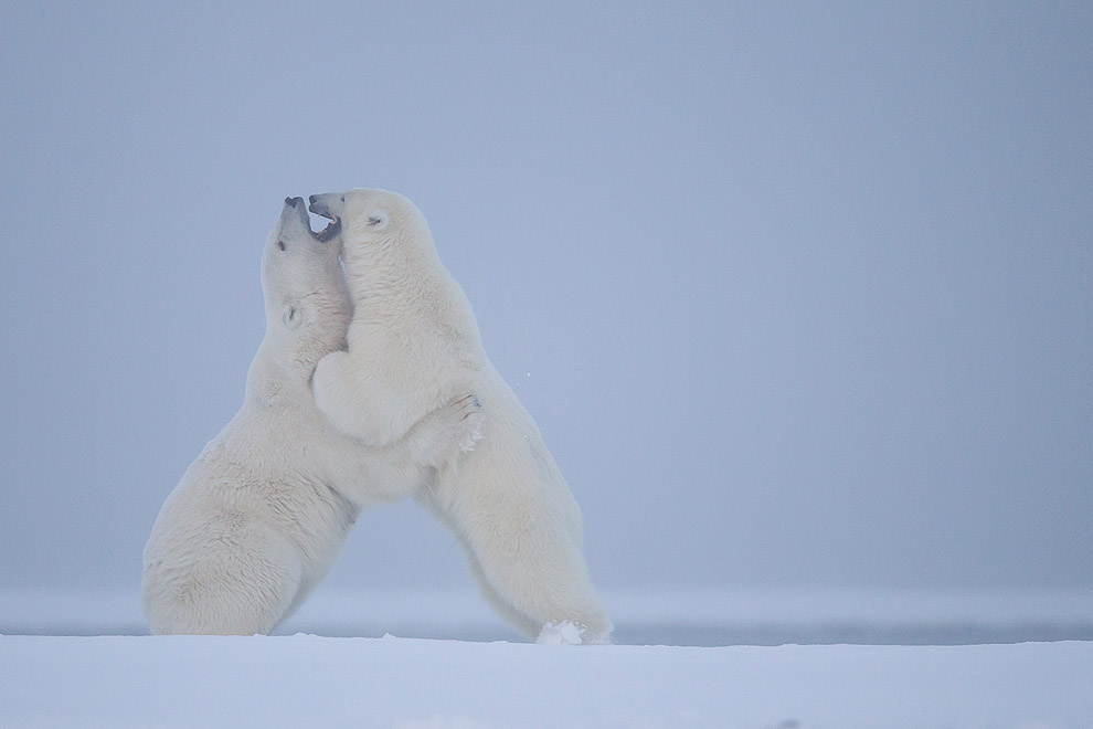 Photos d'ici et d'ailleurs ... enfin, surtout d'ailleurs